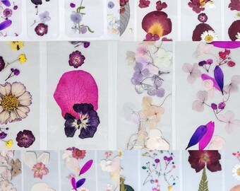 Real Pressed Flower Bookmarks, Real Pressed Floral Bookmarks, Assorted Flowers and Leaves to Choose From.