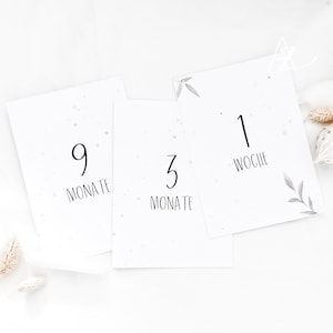 Meilensteinkarten Baby Kartenset Neutral