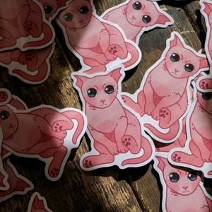 Bingus Sphynx Cat Vinyl Stickers