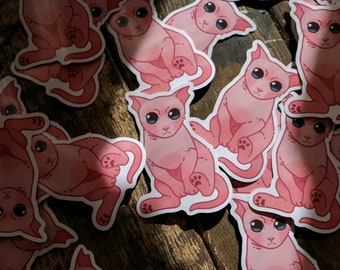 Puede incluir: Una colección de pegatinas de gatos rosas con ojos grandes. Las pegatinas están dispuestas en un patrón aleatorio sobre una superficie de madera.