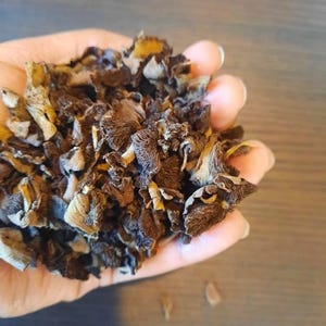 Djon Djon - Haitian dried mushroom