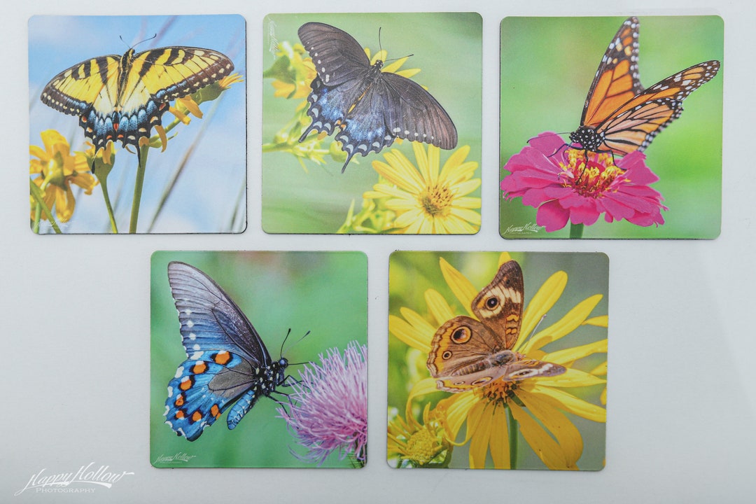 Butterfly Refrigerator Set 5 Butterfly Photo Etsy
