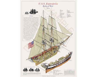 18x24" (Framed) U.S.S. Enterprise Cutaway Poster Print by Donn Thorson