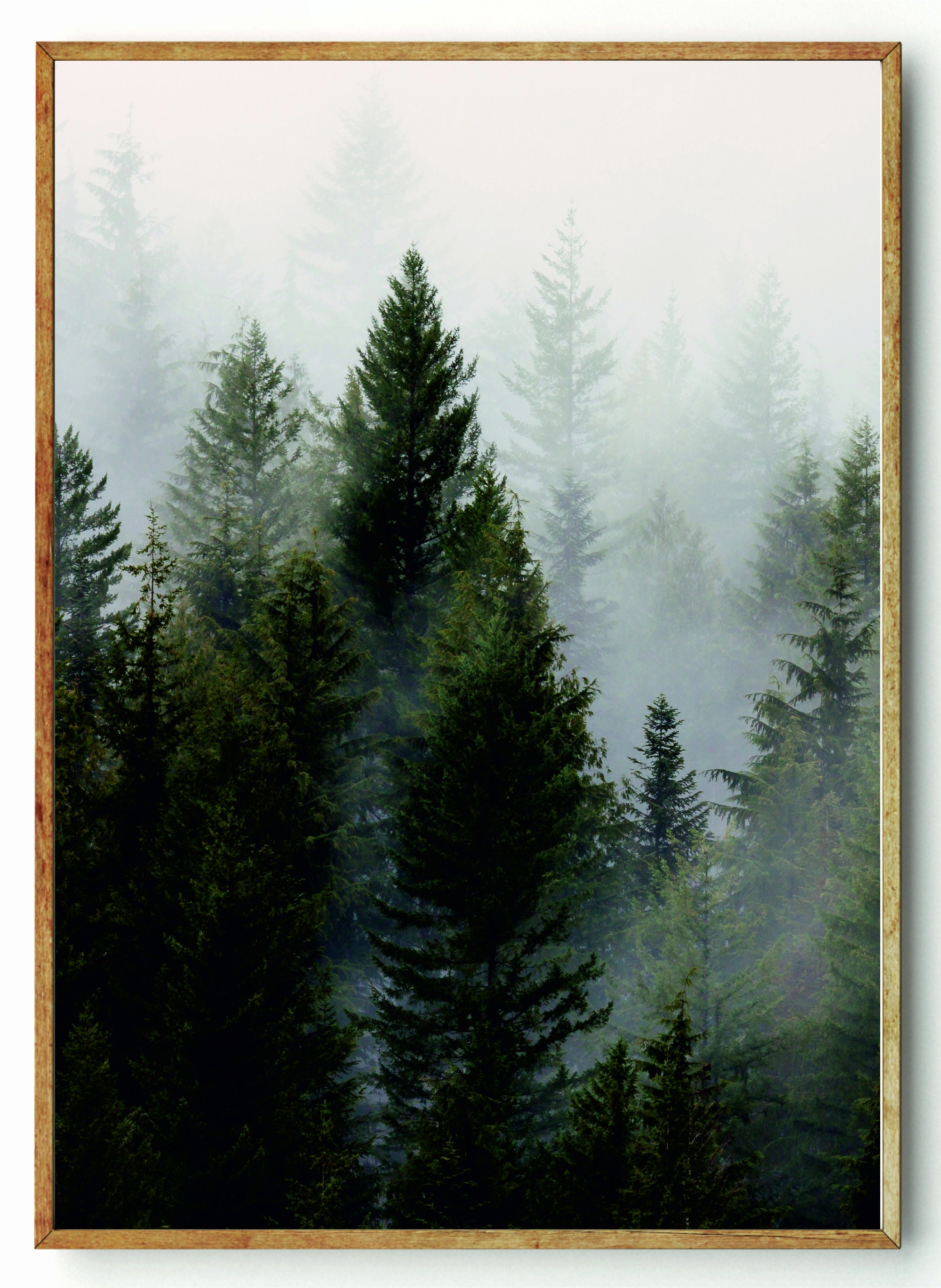 Forest Print Set of 3 Print Wall Prints Tree Print Etsy