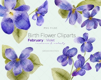 Clipart: February Birth Flower "Violet", Watercolour Floral Clipart, Digital Download Clip Art, Free Commercial Use PNG
