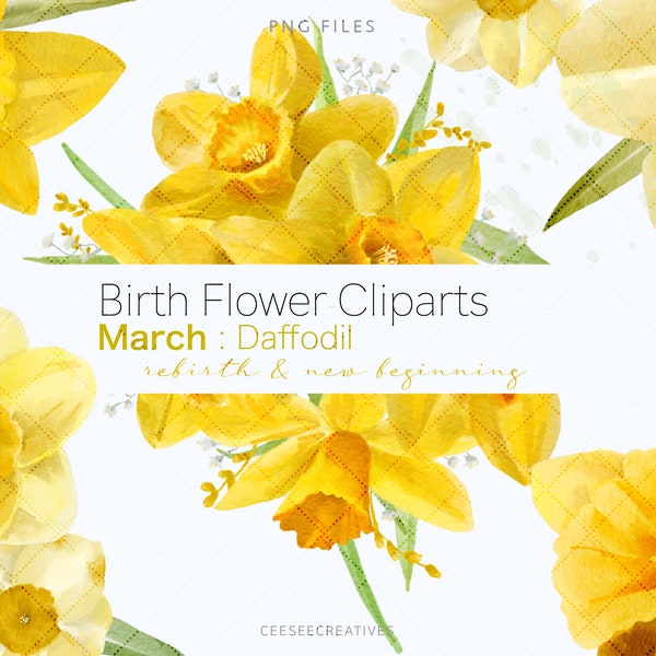 Clipart: March Birth Flower "Daffodil", Watercolour Floral Clipart, Digital Download Clip Art, Free Commercial Use PNG