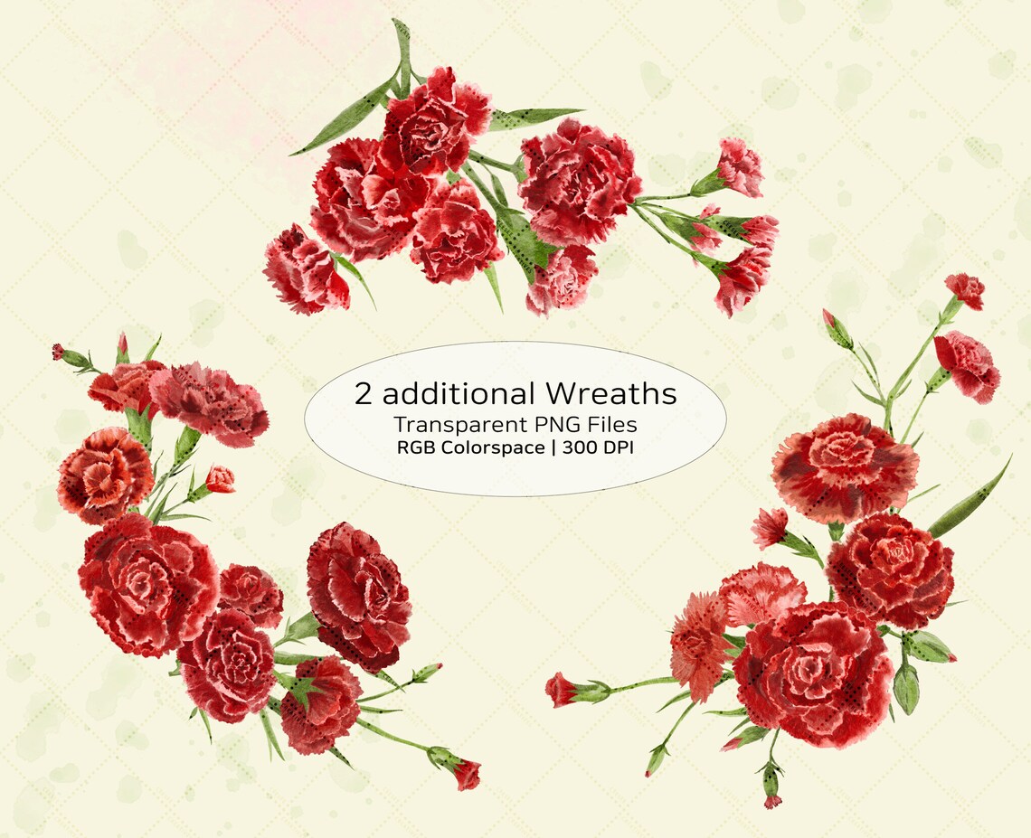 Clipart January Birth Flower Red Carnation Etsy