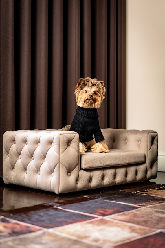 Luxury Modern Dog Beds