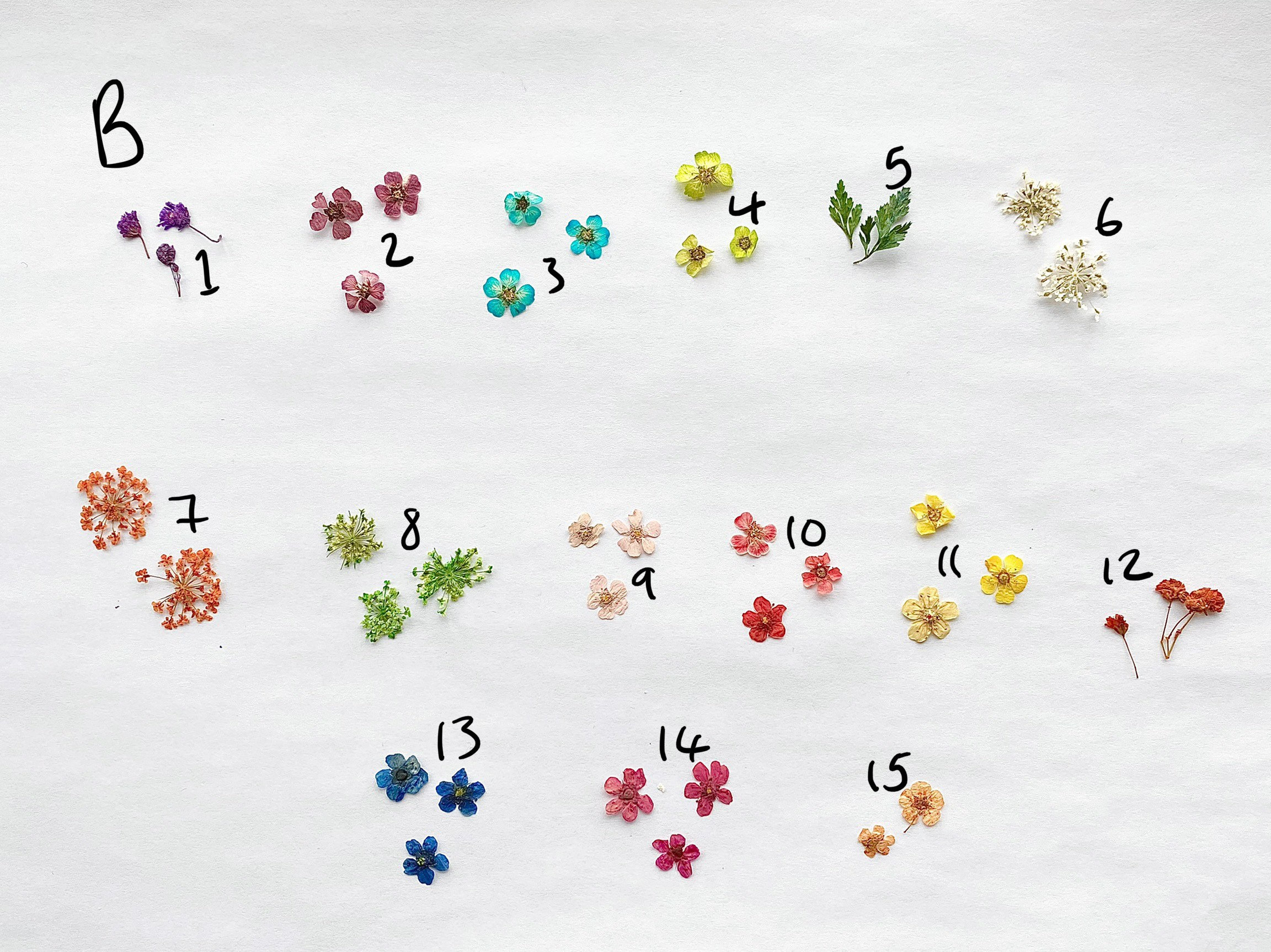 Friendship Rings Ring Set Matching Rings Pressed Flower - Etsy