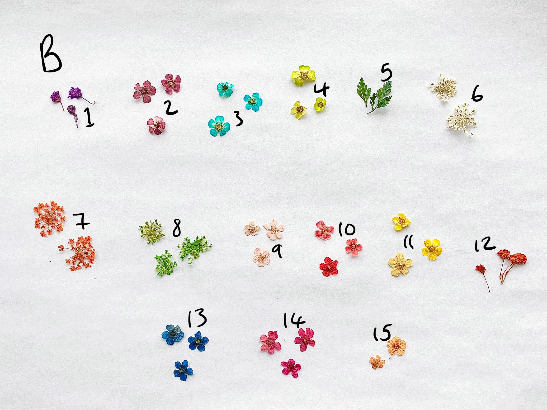 Pressed Flower Ring Flower Ring Resin Ring Resin Band Etsy UK