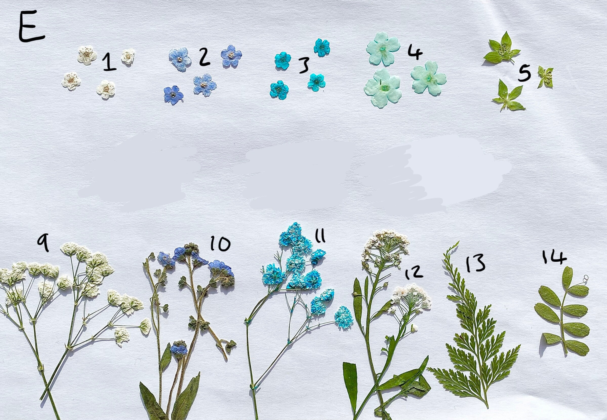 Friendship Rings Ring Set Matching Rings Pressed Flower - Etsy