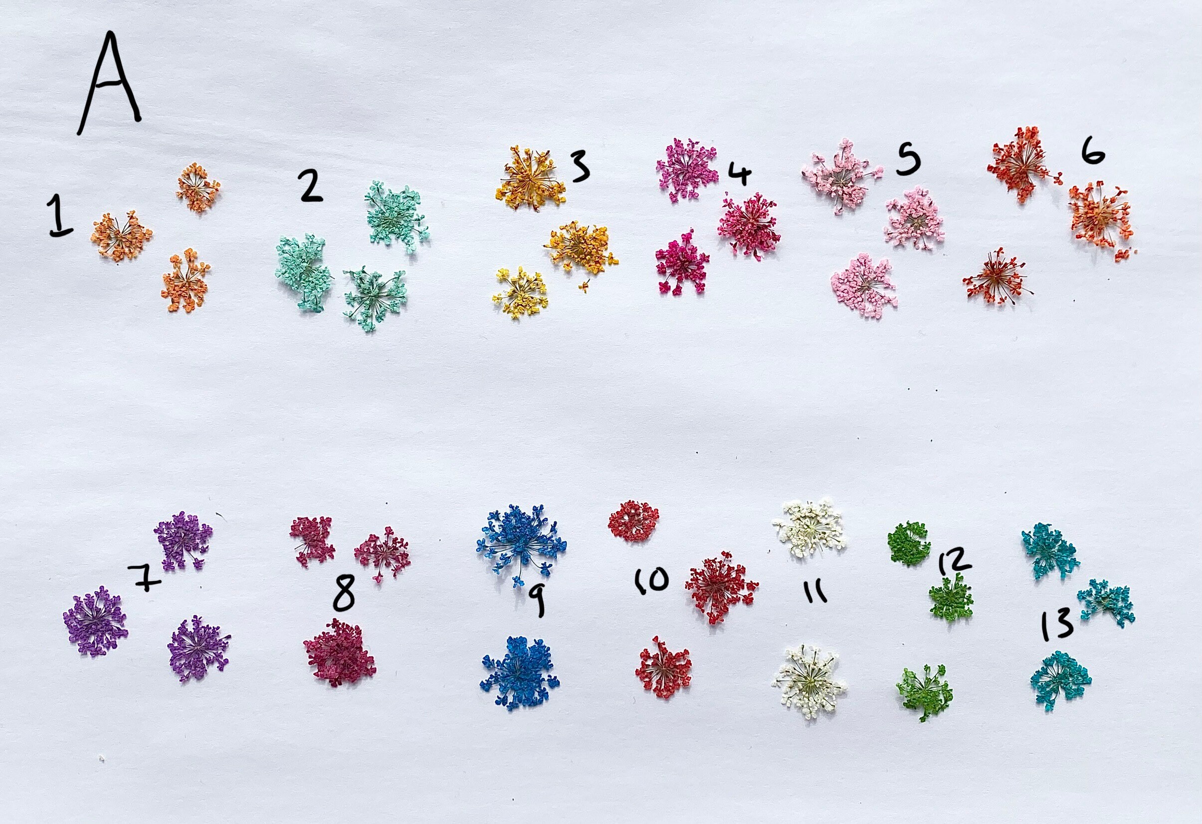 Friendship Rings Ring Set Matching Rings Pressed Flower - Etsy