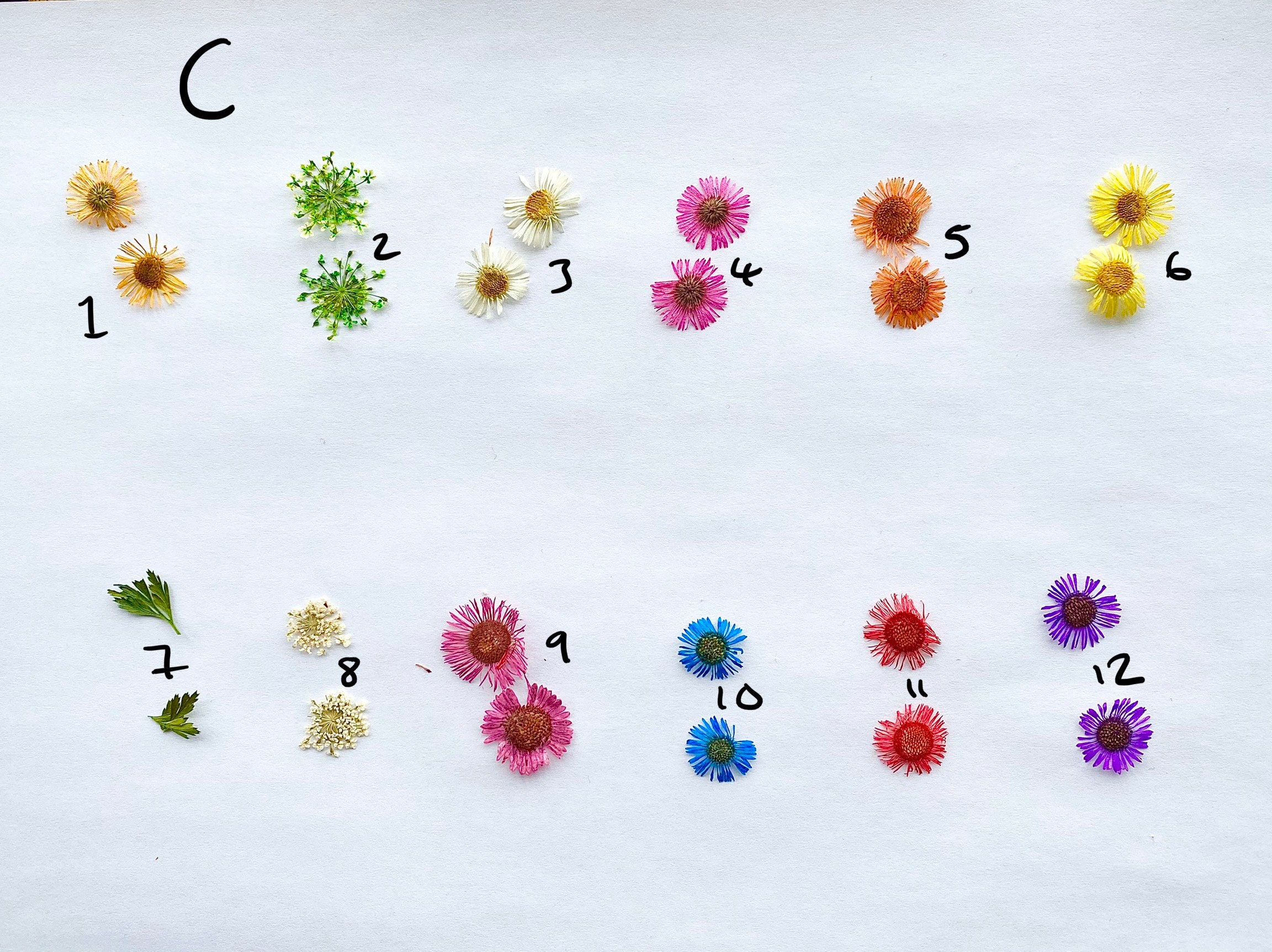 Friendship Rings Ring Set Matching Rings Pressed Flower - Etsy