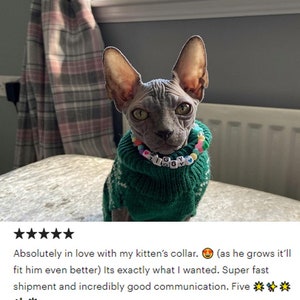 cat necklace