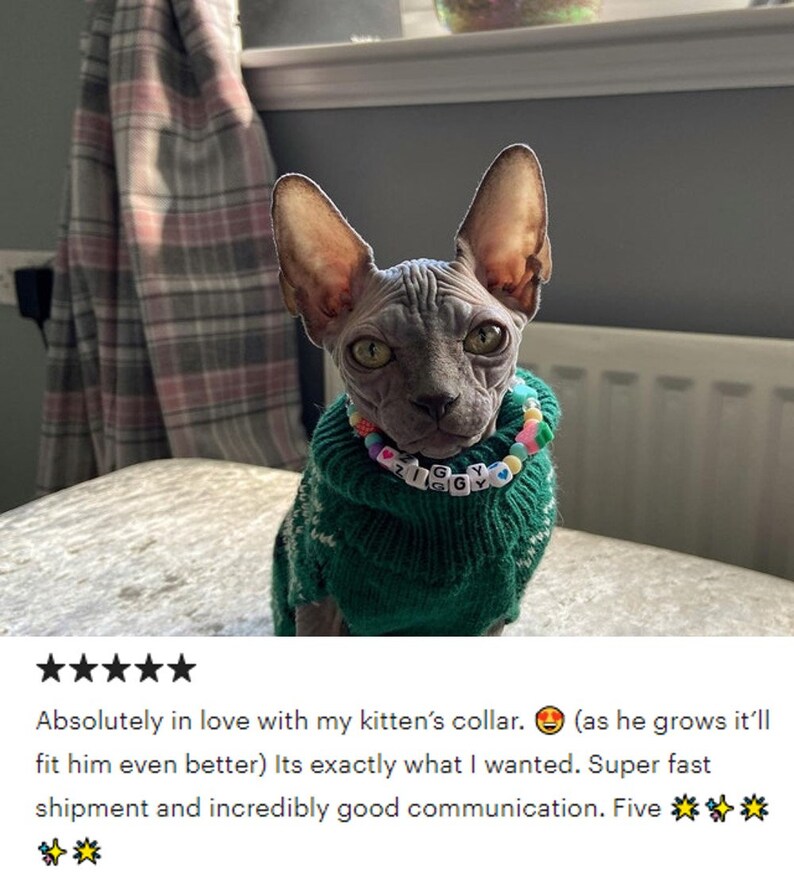 cat necklace
