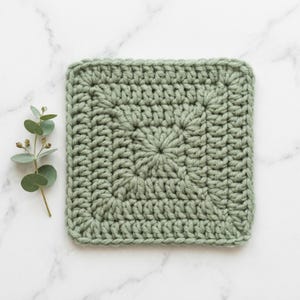 May include: A square crochet coaster in a solid sage green color featuring a classic granny square stitch pattern with a textured surface. Beside the square piece lies a single sprig of eucalyptus with small round leaves and tiny buds.
