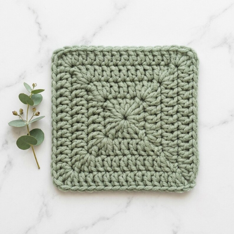 May include: A square crochet coaster in a solid sage green color featuring a classic granny square stitch pattern with a textured surface. Beside the square piece lies a single sprig of eucalyptus with small round leaves and tiny buds.