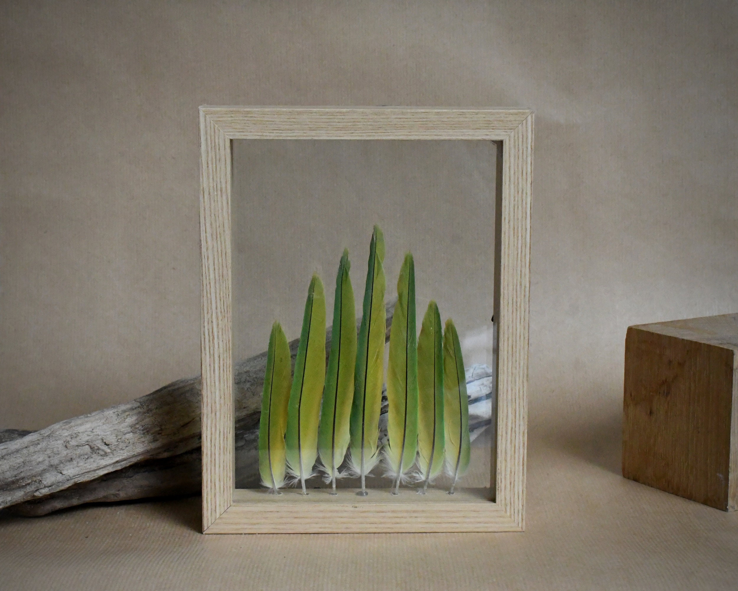 Cadre Décoratif et Plumes Naturelles