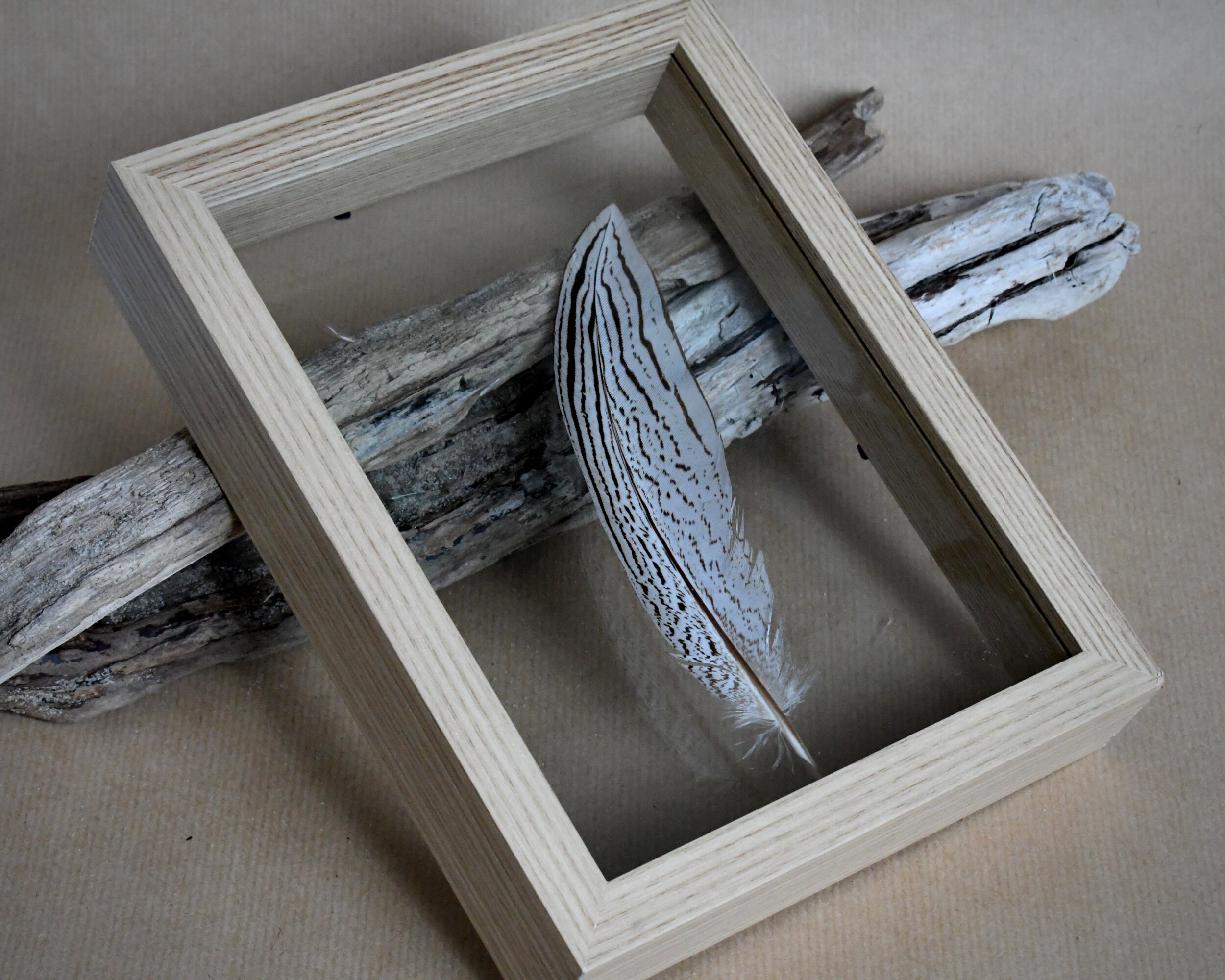 Cadre Décoratif et Plumes Naturelles