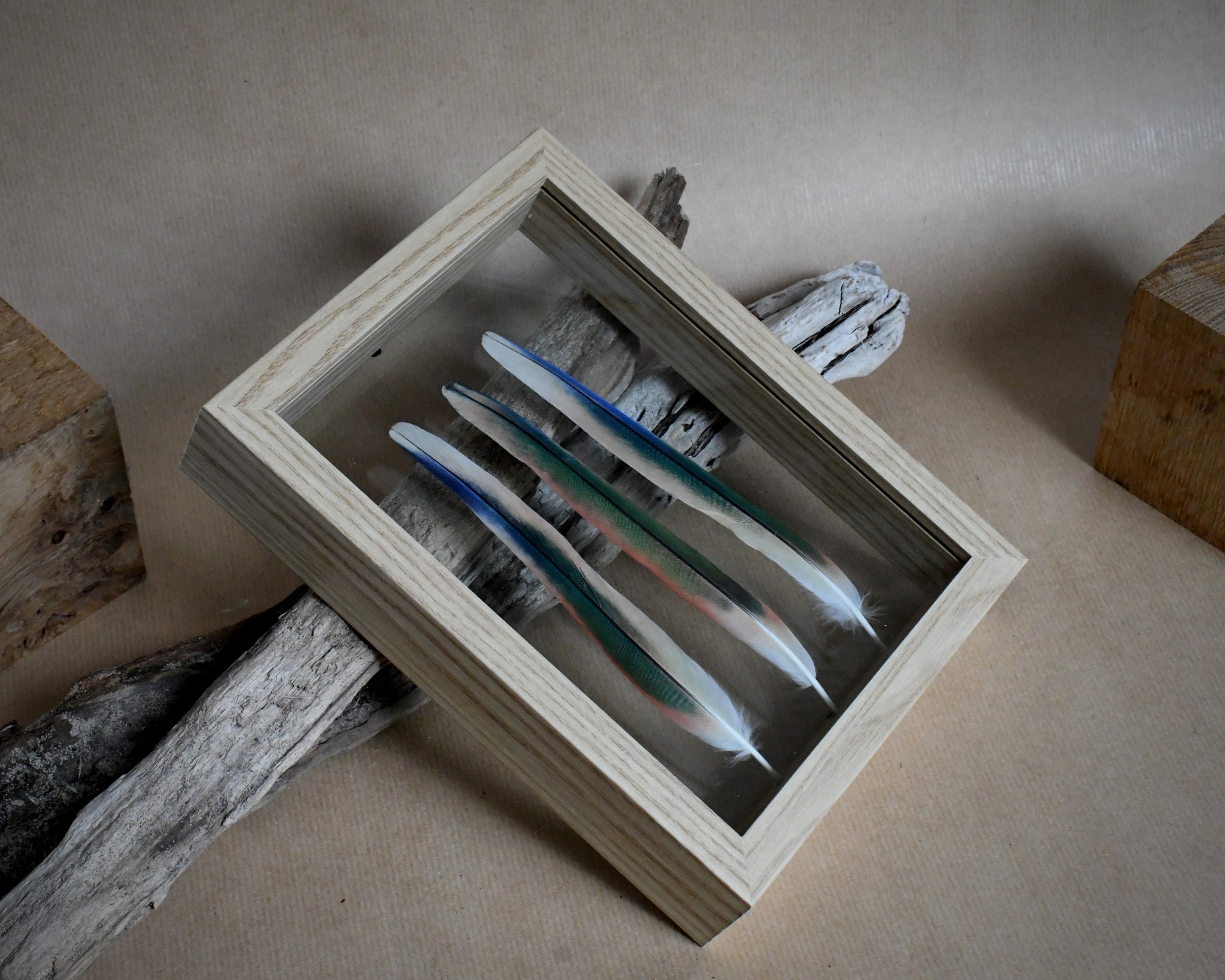 Cadre Décoratif et Plumes Naturelles