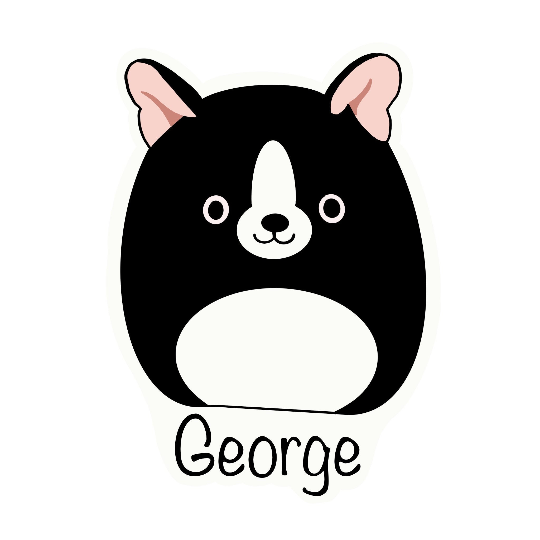 squishmallow boston terrier