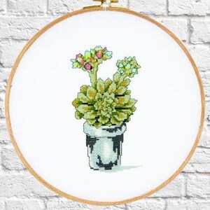 Cacto PDF Padrão de ponto cruz contado Gráfico de ponto cruz digital botânico cactos moderno Padrão de ponto cruz natureza morta cactos xstitch