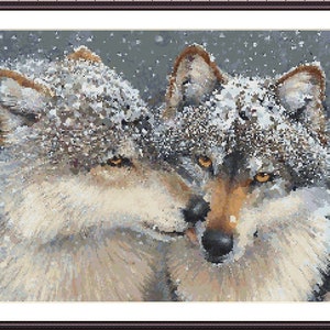 May include: Two gray wolves with brown fur on their faces are looking at the camera. They are covered in snow and the background is a blurry gray with white snow falling.