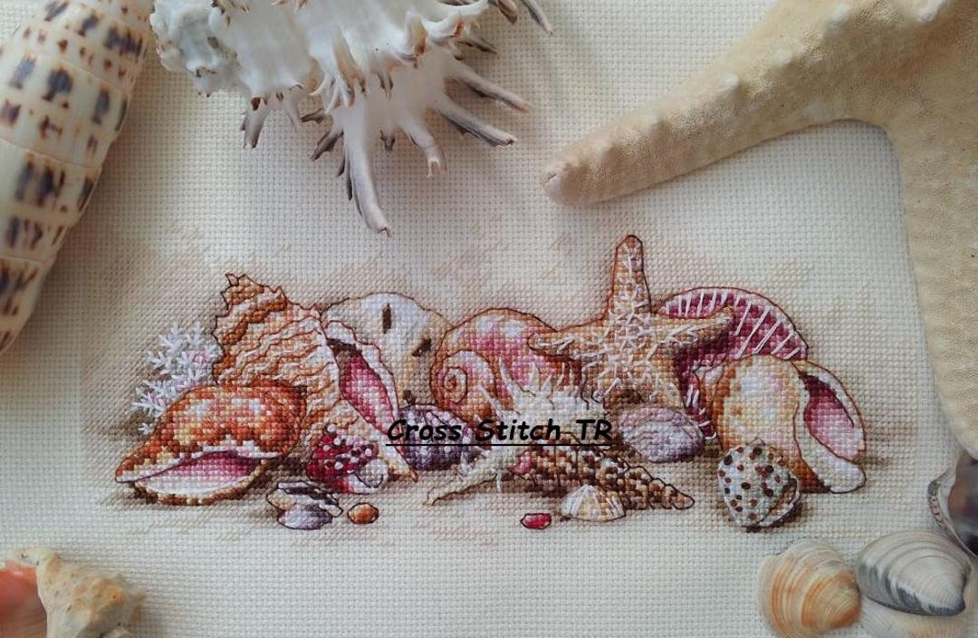 Sea Shell Counted Cross Stitch Pattern Pdf Sampler Seascape Digital ...