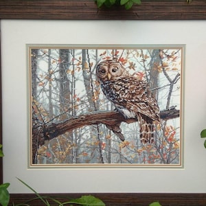Puede incluir: Arte de punto de cruz enmarcado con un búho detallado posado en una rama de árbol. El búho tiene plumas marrones y blancas, sobre un fondo de un bosque con follaje otoñal. La obra de arte está enmarcada en un marco de madera oscura.