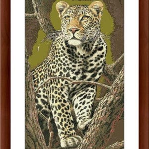 May include: A close-up of a leopard with a spotted coat, sitting on a tree branch. The leopard has a light brown coat with black spots and is looking directly at the camera.