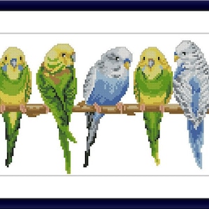 May include: A cross-stitch embroidery pattern featuring five budgerigars perched on a brown branch. The birds display varied plumage colors including shades of yellow, green, white, and blue. The artwork is enclosed within a dark blue frame.