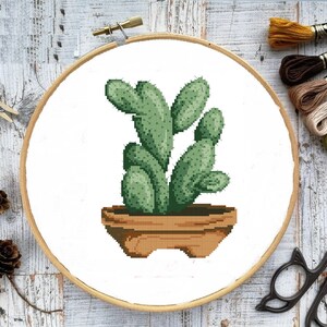 Sukkulenten Kaktus PDF Zählmuster Kreuzstichvorlage Botanisch Modern Digital Kreuzstichvorlage Stilleben Kakteen x Stichmuster
