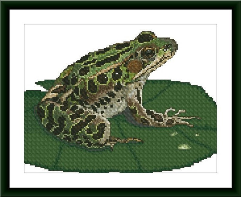 Жаба схема. Милая лягушка вышивка. Жабка крестиком. Жабка миленькая вышивка крестом. Вышивка лягушка на одежде.