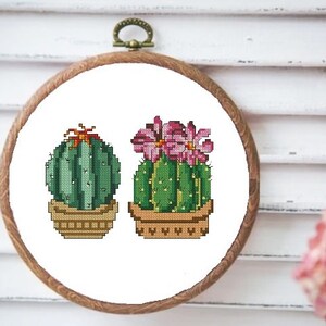 Sukkulenten Kaktus PDF Kreuzstichvorlage Botanical Modern Digitale Kreuzstichvorlage moderne Stillleben Kakteen x Stickmuster