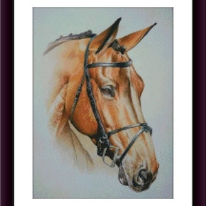 Cheval aquarelle Animal PDF Modèle de point de croix compté Animaux de la jungle Tableau de point de croix numérique Modèle de point de croix cheval moderne
