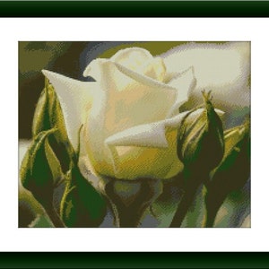 White rose still life Counted cross stitch pattern pdf Flower Digital x stitch chart rose Still life cross stitch pattern vintage bouquet