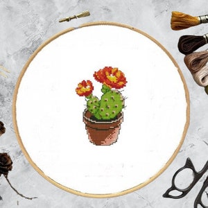Sukkulenten Kaktus PDF Kreuzstichvorlage Botanical Modern Digitale Kreuzstichvorlage moderne Stillleben Kakteen x Stickmuster