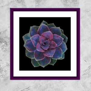 Succulent Cactus PDF Counted cross stitch pattern Botanical Modern Digital cross stitch chart modern Still life cacti x stitch pattern