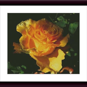Gelbe Rose PDF Kreuzstichvorlage vintage Rose Stillleben Kreuzstichvorlage vintage Rose Kreuzstichvorlage Vintage Blumenstrauß