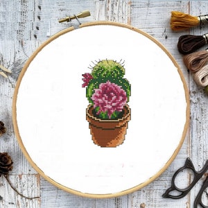 Sukkulenten Kaktus PDF Zählmuster Kreuzstichvorlage Botanisch Modern Digital Kreuzstichvorlage Stilleben Kakteen x Stichmuster