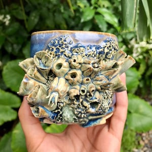 Small Tidepool Relic Planter Hand Sculpted Coral Vessel Deep Sea Ceramic Art Object No Drainage Sculptural Pot for Succulents Decor