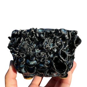 May include: Black ceramic planter with a textured, organic design resembling coral or seaweed. The planter has a dark blue glaze with hints of white and gold accents.