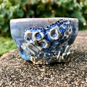 MINI Coral Reef Planter – Blue Sculpted Pot with Drainage Hole | Ocean-Inspired Ceramic Art Gift for Desk, Home, or Office