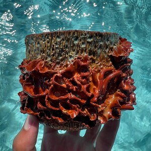 テクスチャ加工のセラミック製コーラル屋内プランター 海をイメージした手作り陶器 彫刻的なデスク装飾 ユニークなオフィスギフト (排水穴なし)