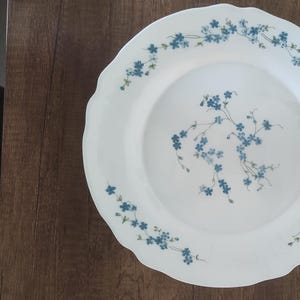 Può includere: Piatto in ceramica bianca con bordo smerlato, ornato da un delicato motivo floreale blu. Il design presenta grappoli di piccoli fiori blu e steli. Il piatto è appoggiato su una superficie di legno scuro.
