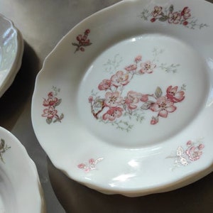 ARCOPAL 3 dinner plates, 3 soup plates and 3 dessert plates with flower motif - Florentine collection - vintage design Made in France from the 1970s