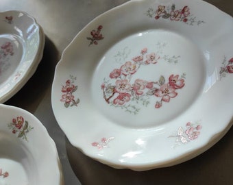 Set de 4 assiettes creuses Arcopal décor floral vintage - Arts de la table