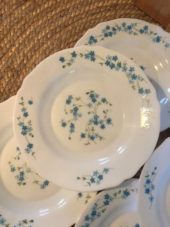 Assiette plate myosotis arcopal d'occasion - Arts de la table