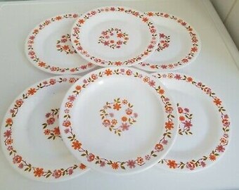 Lot De 6 Ou 12 Assiettes à Dessert Arcopal Scania - Motif Orange Fleurs - Vintage France