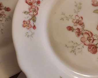 Assiette à dessert Arcopal vintage année 80 / 90 fleurs multicolores